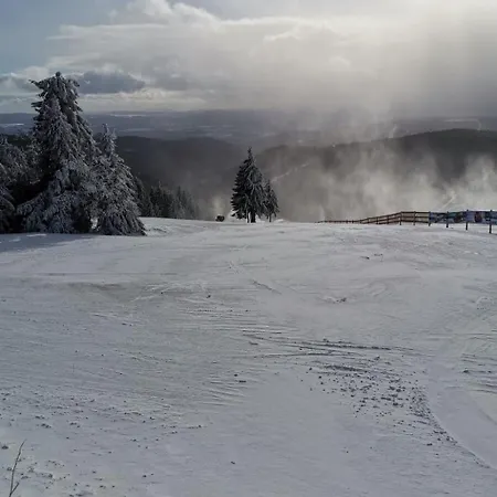 Schoene In Kurort By Interhome Oberwiesenthal